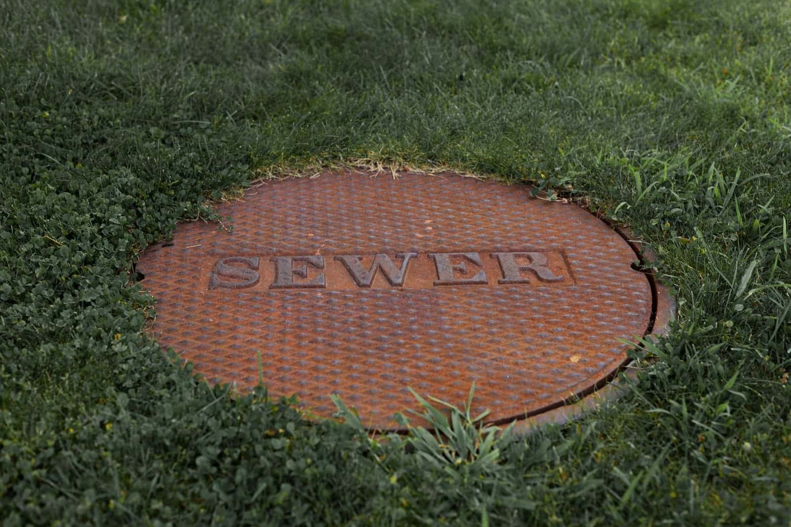 Sewer manhole cover set in a lawn